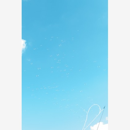 戸澤麻衣が撮影した「:albumName」の写真