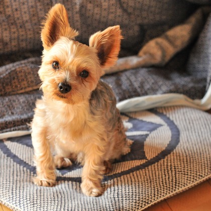 大熊和輝が撮影したウェディングや家族、ビジネスの写真