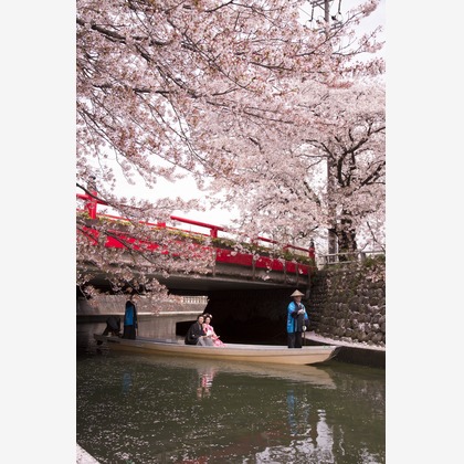 STUDIO NOUVEAU（スタジオ ヌーボ）が撮影したウェディングや家族、ビジネスの写真