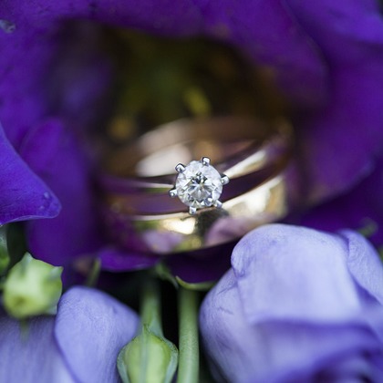 Tanja Metelitsaが撮影した「:albumName」の写真