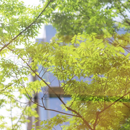 なかがわさとみが撮影した「:albumName」の写真