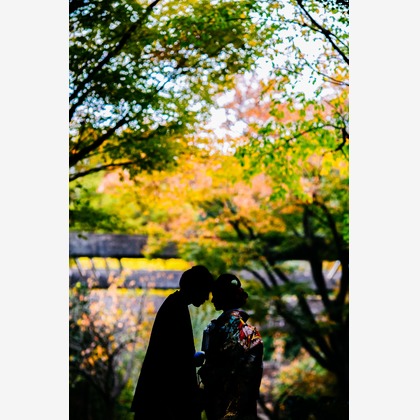 Tomi Photo Studioが撮影したウェディングや家族、ビジネスの写真