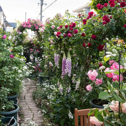 オフィス 芦野が撮影した「:albumName」の写真