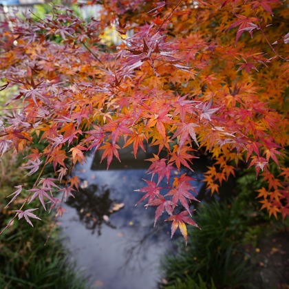 photographerTAKASUが撮影したその他の写真