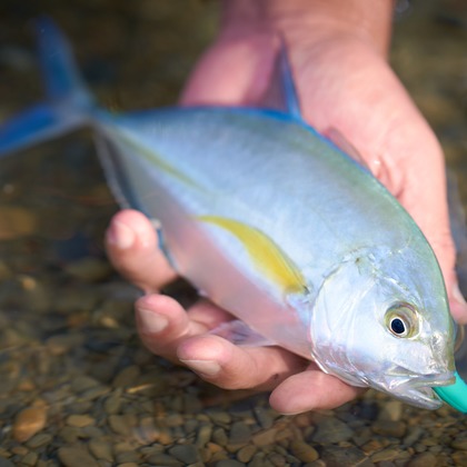 Earth Creative Productsが撮影した商品/物撮り/人物撮影/動画撮影の写真