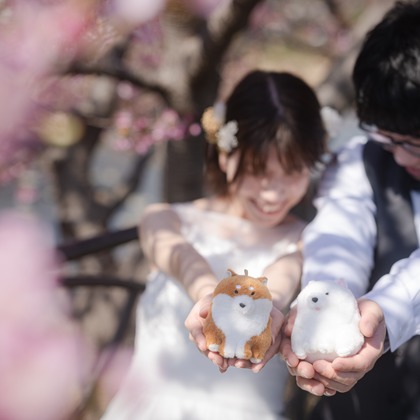 石田誠写真事務所が撮影した「:albumName」の写真