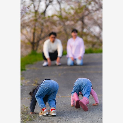 秋山諒輔が撮影したウェディングや家族、ビジネスの写真