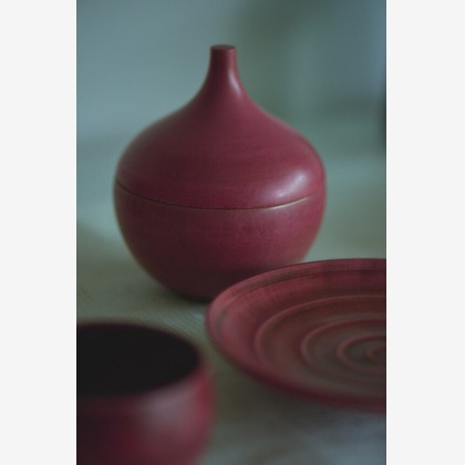 柴田和衣子が撮影したウェディングや家族、ビジネスの写真