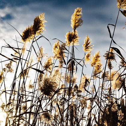 細田　恭平が撮影したその他の写真