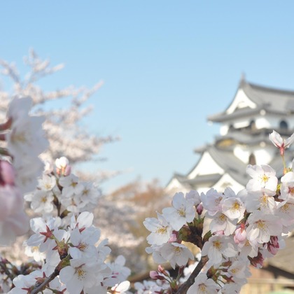 Photo BASEが撮影した「:albumName」の写真