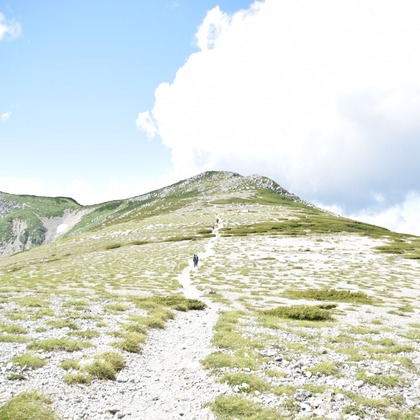 小野友輔が撮影したその他の写真