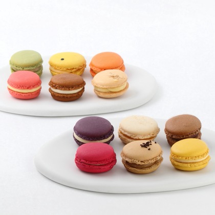 森安　照が撮影した「:albumName」の写真