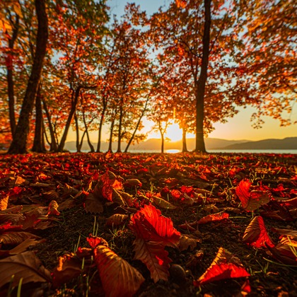 高木勇斗が撮影した「:albumName」の写真