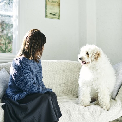 大橋裕紀が撮影した商品/物撮りの写真