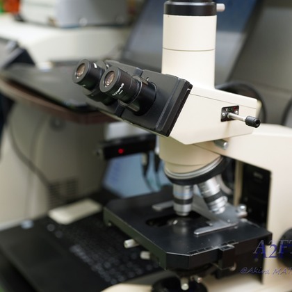 A2FT.jpフォトグラファーまつもとあきらが撮影したウェディングや家族、ビジネスの写真