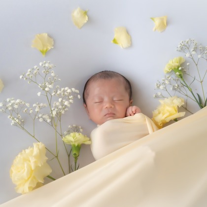 鈴木美咲が撮影した「:albumName」の写真