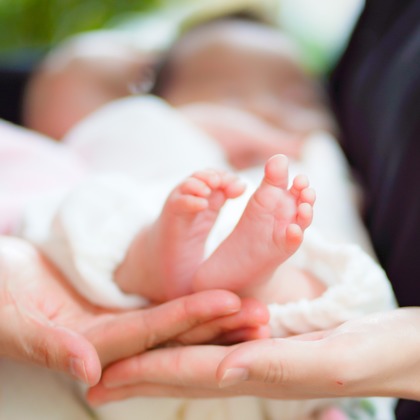 合同会社Joy Stormが撮影した「:albumName」の写真