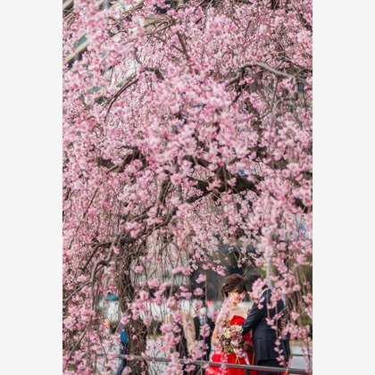 Photo Atelier feliceが撮影した「ウェディング・結婚」のウェディングフォト - :albumName