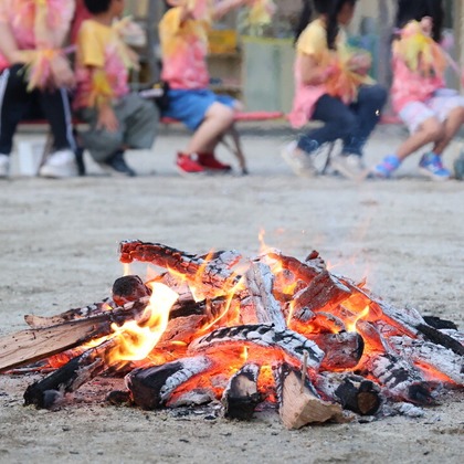 RETRIN株式会社が撮影した「:albumName」の写真