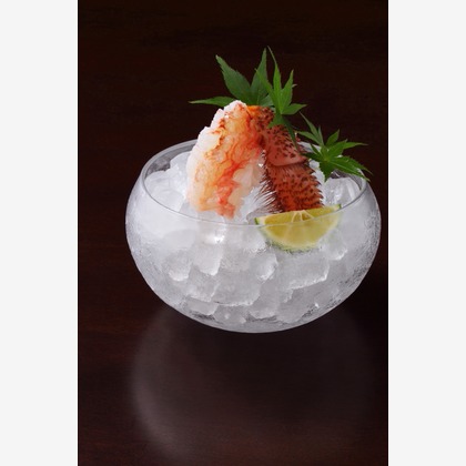 森安　照が撮影した「:albumName」の写真