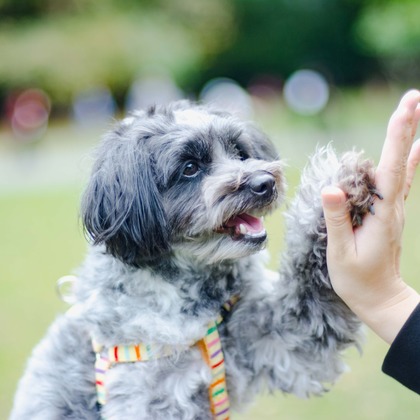 One&Only Photoが撮影したその他の写真