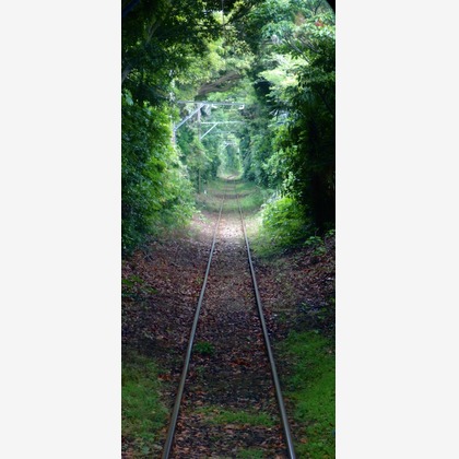 Takeuchi Shunsukeが撮影したその他の写真