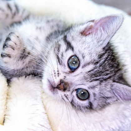 本郷直人が撮影した「:albumName」の写真