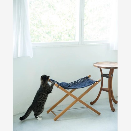 白井由香里写真事務所が撮影した「:albumName」の写真