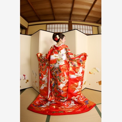 Photo of :albumName taken by Smilehunter