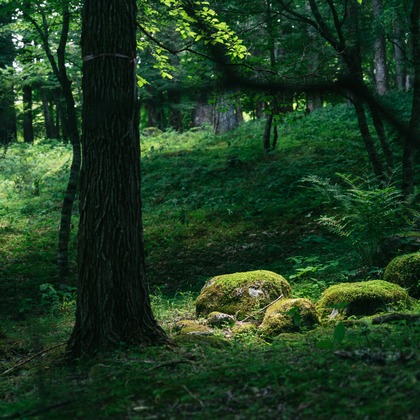 Aya Petite Photographyが撮影した「:albumName」の写真