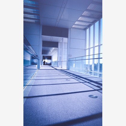 いんかが撮影したその他の写真