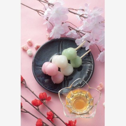 写真屋ごんちゃんが撮影した「:albumName」の写真