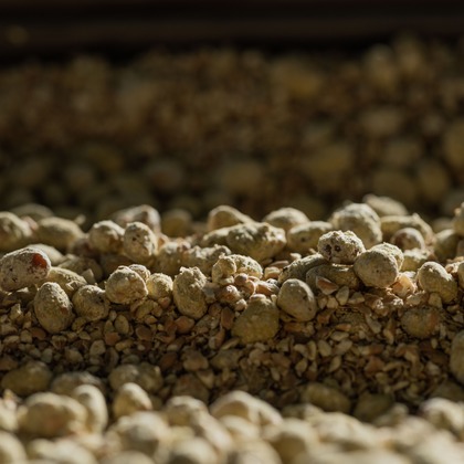 小田映像制作事務所が撮影した「:albumName」の写真