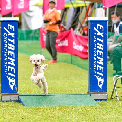 スタジオファンタスが撮影した「:albumName」の写真