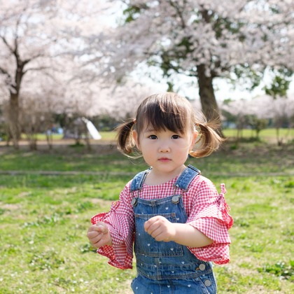 高野和希が撮影した家族写真の出張撮影の写真