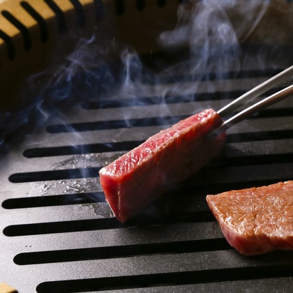 クマが撮影したウェディングや家族、ビジネスの写真