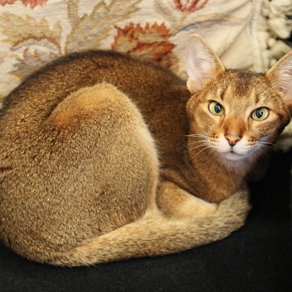 森安　照が撮影した「:albumName」の写真