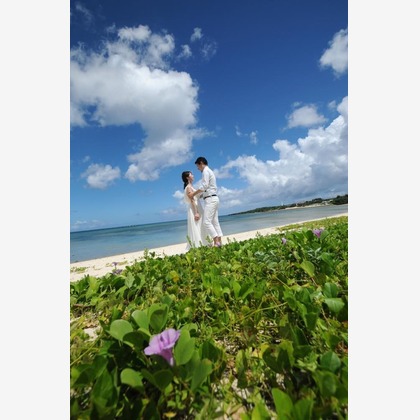 Avenir（山宮 敏明）が撮影した「:albumName」の写真