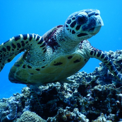 杉野優介が撮影した「:albumName」の写真