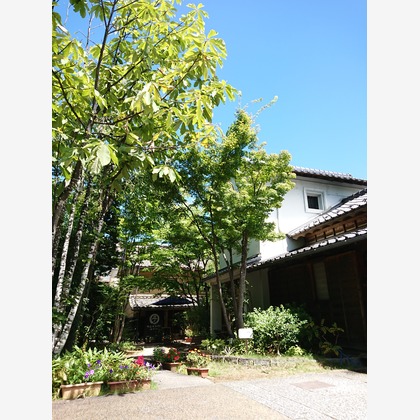 出張撮影のメモリーズが撮影した「:albumName」の写真