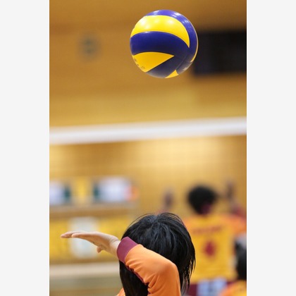 Create 4 Uが撮影した「:albumName」の写真