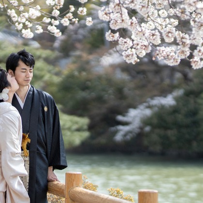 Photo of Kyoto　Prewedding photo with cherryblossom taken by saruco(Hisashi Iwasaki)