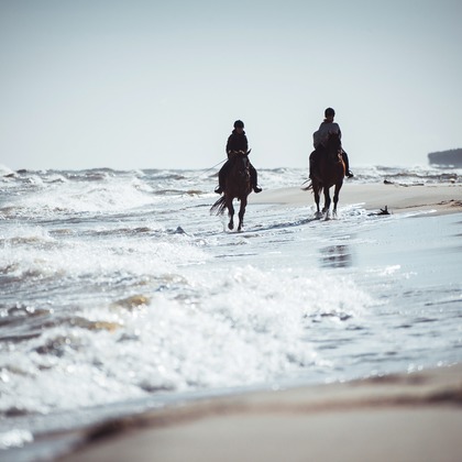 Jacek Cichopekが撮影した「:albumName」の写真