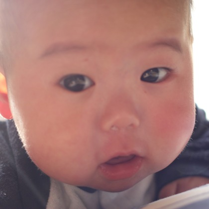 loop.inc Photo & Movie TEAMが撮影した「:albumName」の写真