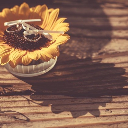  グラフィーズが撮影したウェディングや家族、ビジネスの写真