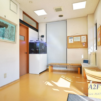 A2FT.jpフォトグラファーまつもとあきらが撮影したウェディングや家族、ビジネスの写真