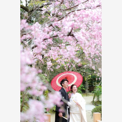 Wedding, Bridal Photos taken by インプルーブ博多店