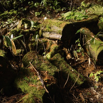 山腰　啓介が撮影したイベント/スナップ撮影/不動産/竣工の写真