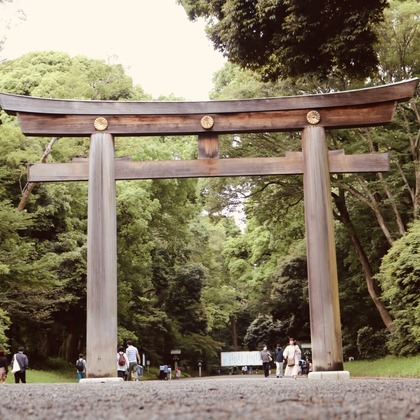 Takeuchi Shunsukeが撮影したその他の写真