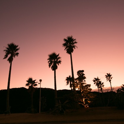 下田　東急ホテルが撮影した「:albumName」の写真